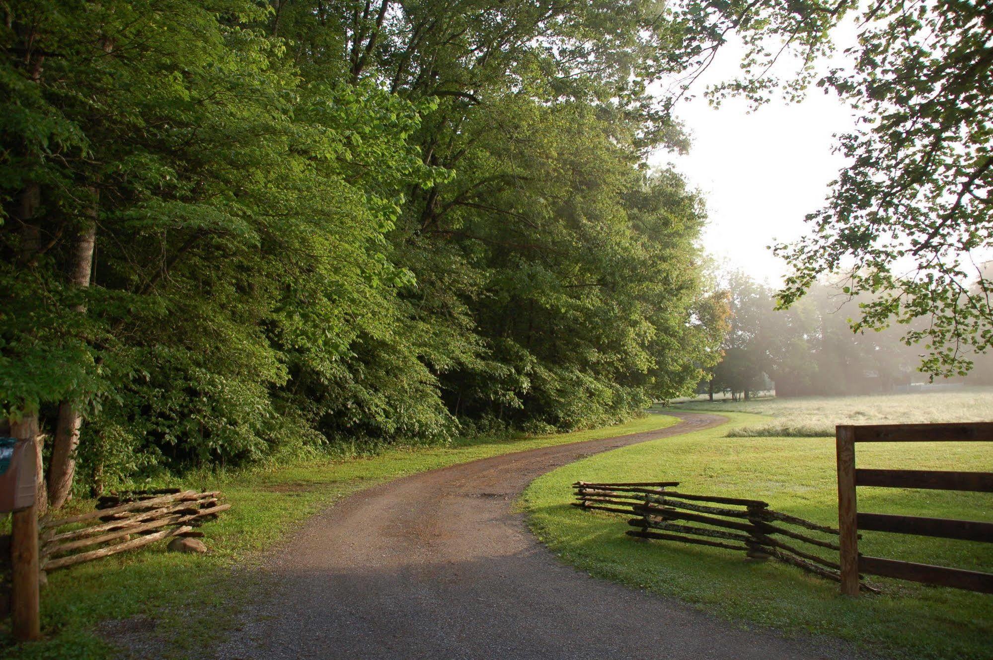 Creekwalk Inn And Cabins Cosby Εξωτερικό φωτογραφία